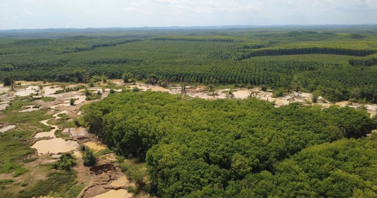 Galamsey activities affect operations of Ghana Rubber Estates